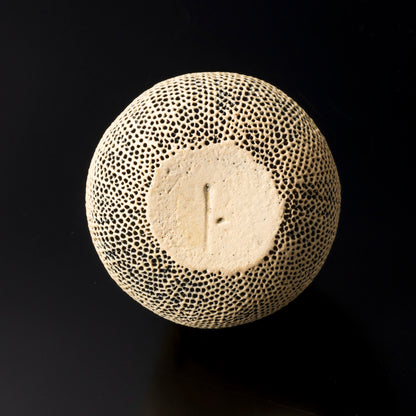 "Tenkokumon" Vase