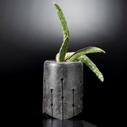 Pot for tuberous plants