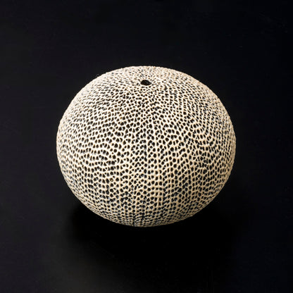 "Tenkokumon" vessel [sphere/flower vase]