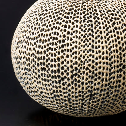 "Tenkokumon" vessel [sphere/flower vase]