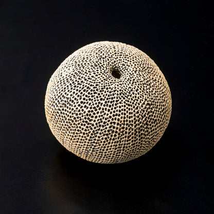 "Tenkokumon" vessel [variegated spherical shape/flower vase]