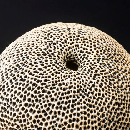 "Tenkokumon" vessel [variegated spherical shape/flower vase]