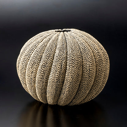 "Tenkokumon" vessel [Spherical chrysanthemum design/flower vase]