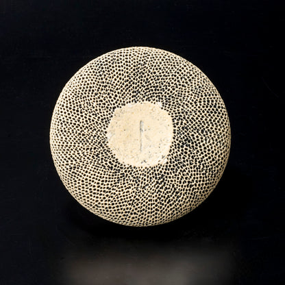 "Tenkokumon" vessel [Disc-shaped convex/flower vase]